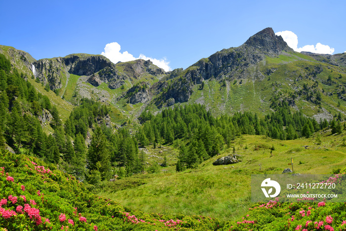 Gran Paradiso National Park. Aosta Valley, Italy. Beautiful mountain landscape in sunny day.