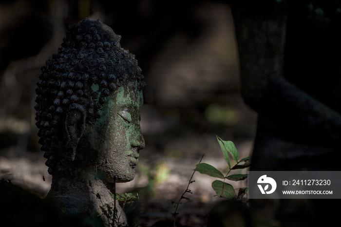 Head of Buddha statue in the dark, the dark side of Buddha, antique and ancient statue of buddha