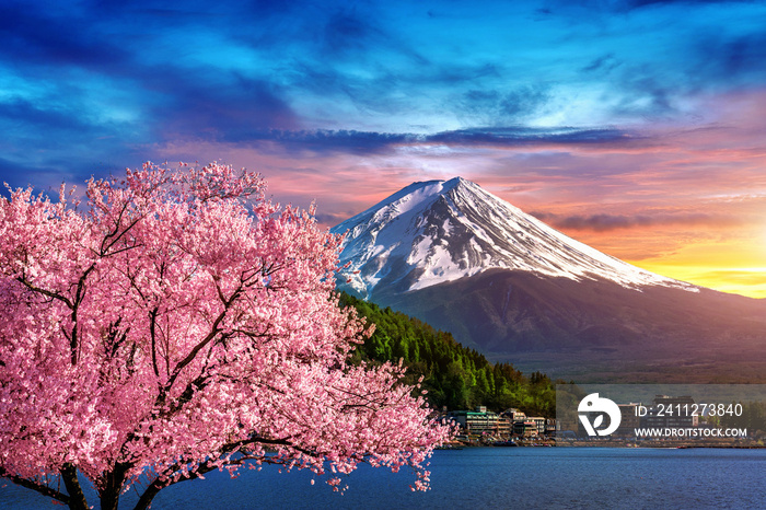 Fuji mountain and cherry blossoms in spring, Japan.