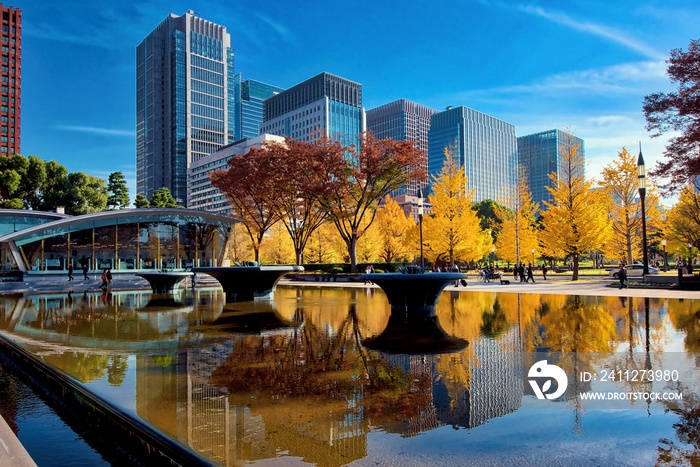 Marunouchi, Tokyo’s Central Business District, in autumn