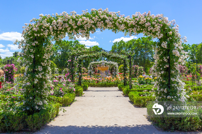 Botanical garden of Madrid in the Retiro park. Rose garden in spring. Flower-filled gardens with fountains and metal arches.