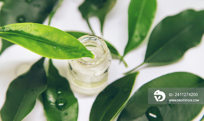 tea tree oil in a small bottle. Selective focus.