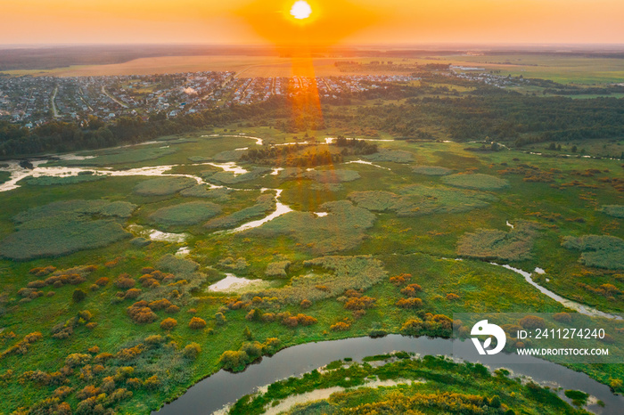Aerial View Of Plain With Green Forest Woods And River Landscape In Sunny Spring Evening. Top View Of Beautiful European Nature From High Attitude In Summer Season. Drone View. Bird’s Eye View