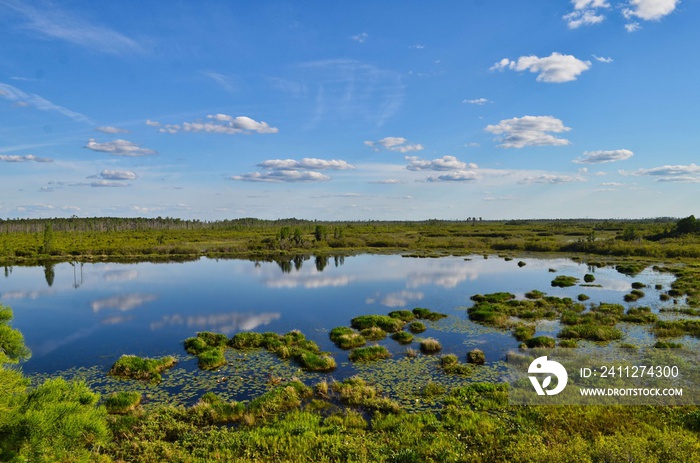 Aerial View of Okefenokee Swamp with Cloud Reflections