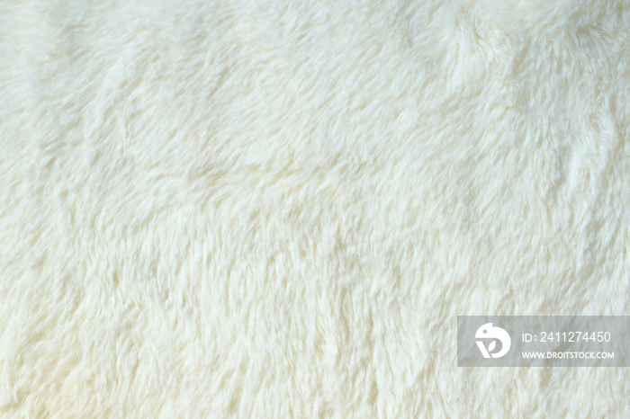 white fur texture close-up beautiful abstract