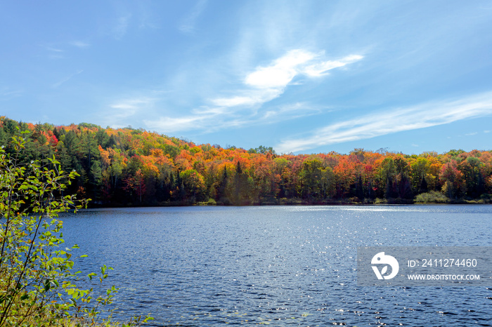 Fall colors in Muskoka lakes, ontario, Canada