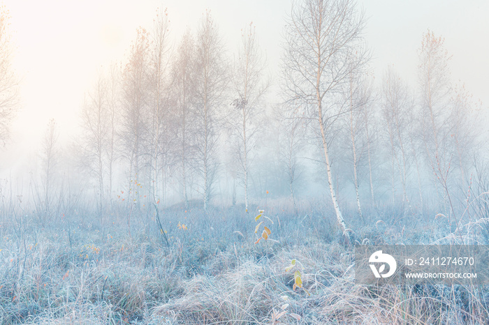 Beautiful autumn misty sunrise landscape. November foggy morning and hoary frost at scenic high grass meadow.