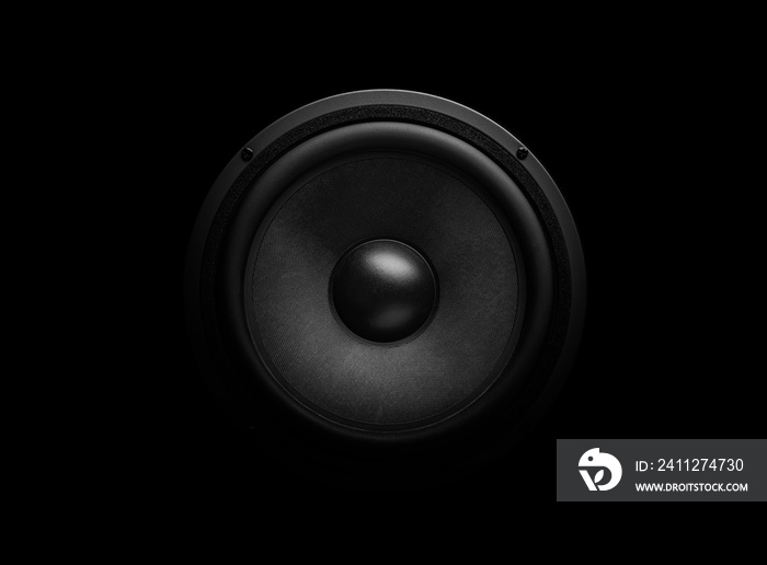 Beautiful powerful sound speaker close-up on a dark background.