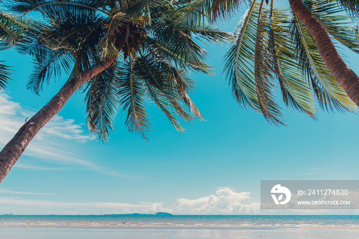 Palm trees or coconut tr on the sea beach and blue sky in summer, Travel and beautiful nature background.