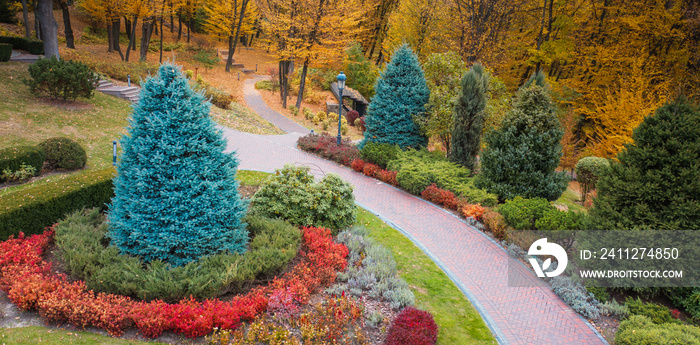 Colorful alley in the autumn arboretum. Drone view