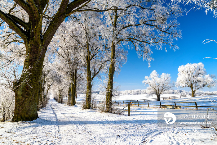 Landschaft in Masuren im Winter