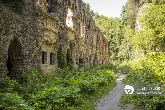 overgrown ruins of the old city