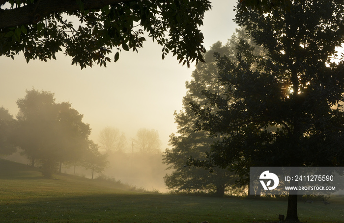 Morning Fog/The morning fog in Zanesville, Ohio.