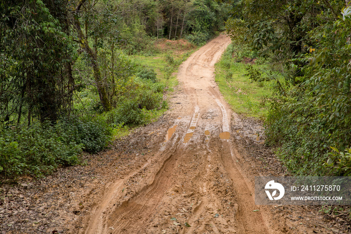 Muddy wet countryside road in Chiang Mai, northern of Thailand. track trail mud road in forest nature rural landscape. brown clay puddle way transport in country