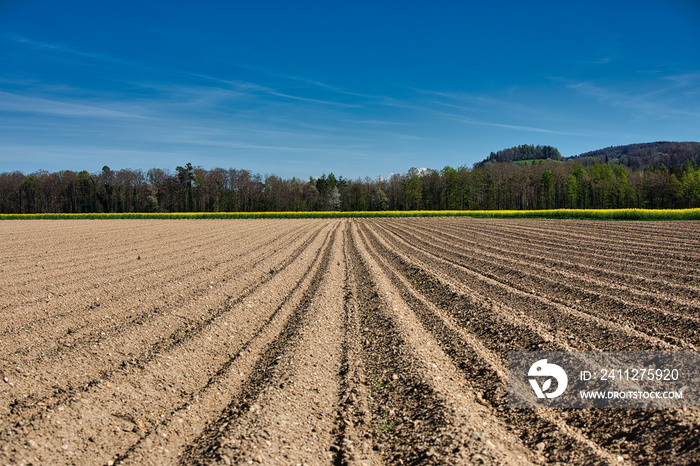 Landscape of fallow fields in spring