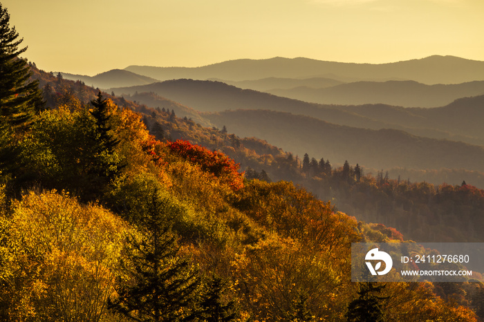 Fall in Great Smoky Mountains National Park