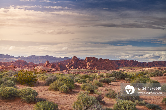 Valley of Fire state park landscape