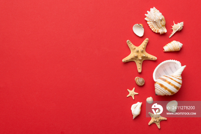 Summer time concept Flat lay composition with beautiful starfish and sea shells on colored table, top view with copy space for text