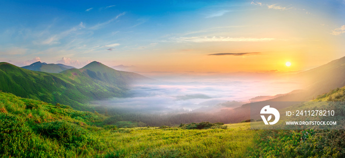 Idyllic landscape with green grass covered morning mountains with distant peaks and wide valley full of thick white cloudy fog.