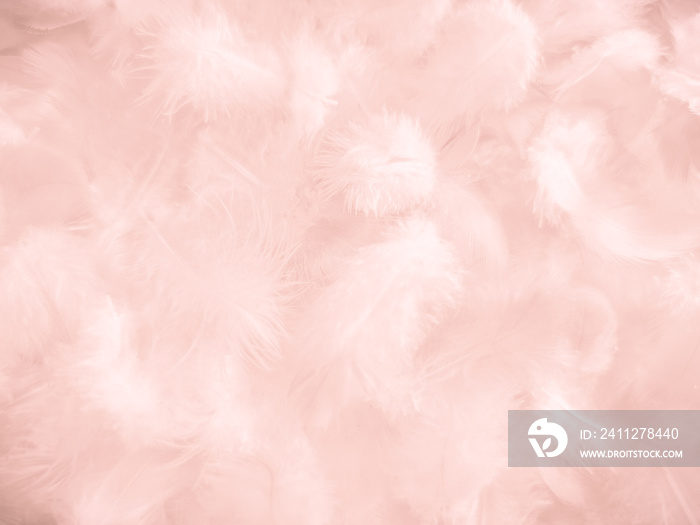 Beautiful abstract white and pink feathers on white background and soft white feather texture on pink pattern and pink background, feather background, pink banners