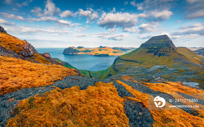 Red moss on the edge of the cliff on popular tourist destination - Sornfelli. Beautiful summer scene of Streymoy island. Splendid seascape of Atlantic ocean, Faroe Islands, Denmark, Europe.