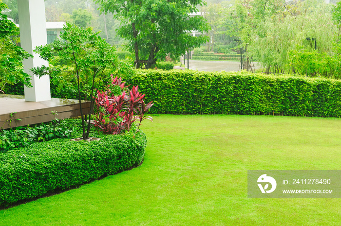 Landscape formal, Front yard is beautifully designed garden.  The garden is beautifully designed on a rainy day.