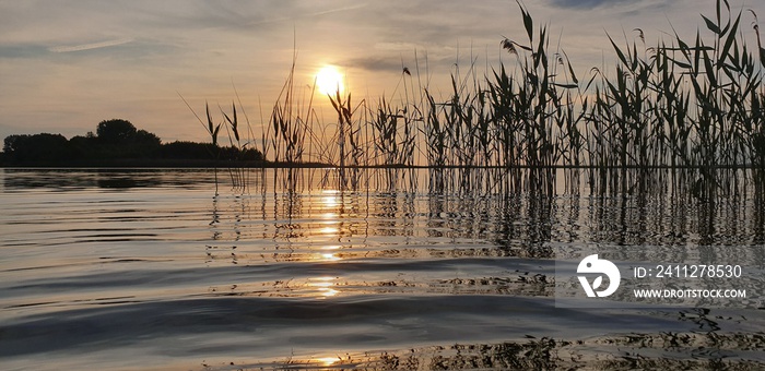 Soothing picturesque landscape of a summer lake