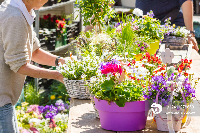 Female florist or gardener working in flower shop or nursery.