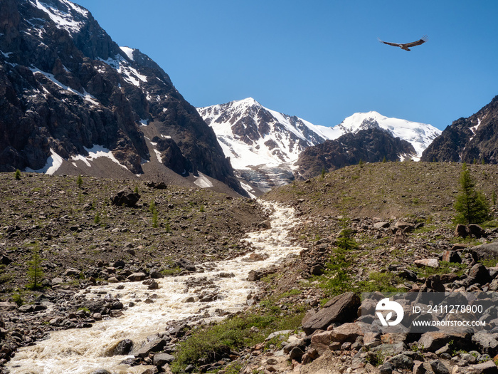 Mountain stream flows down from a glacier. Beautiful alpine landscape with a fast river. The power of the majestic nature of the highlands.