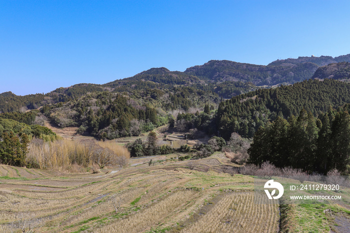 大山千枚田（千葉県鴨川市）