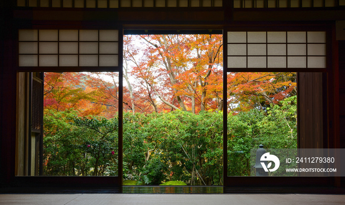 Wood frame doorway and tatami mats in traditional Japanese tea room in autumn