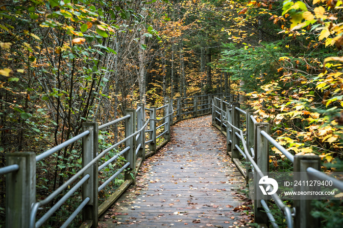 Hiking trail in Grand Portage State Park in Minnesota