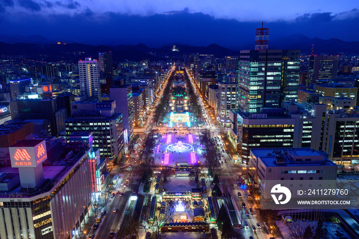 Cityscape of Odori park from Sapporo TV tower