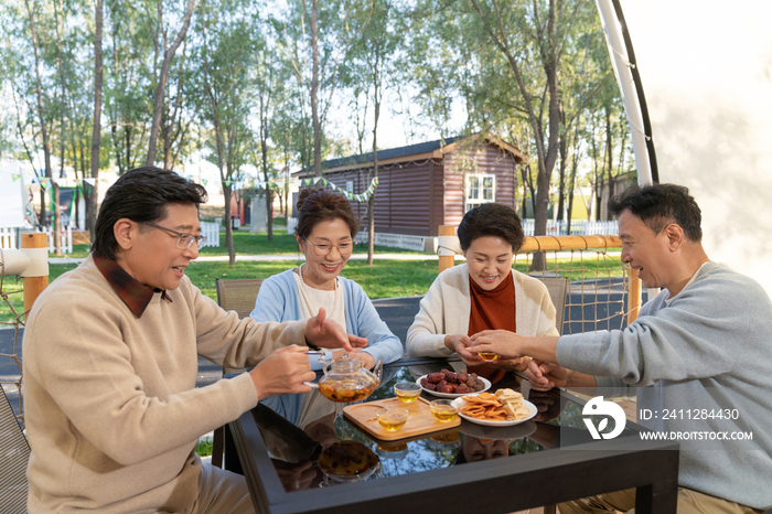 中老年人在露营地喝茶聊天