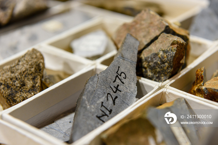 Rock core samples at a geological research laboratory