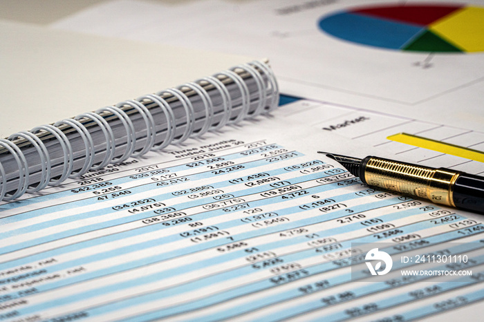 Balance sheet in stockholder report book, balance sheet is mock-up