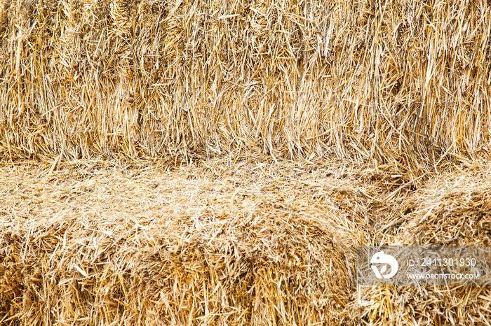 dry yellow hay, agriculture farm and farming symbol of harvest time concept