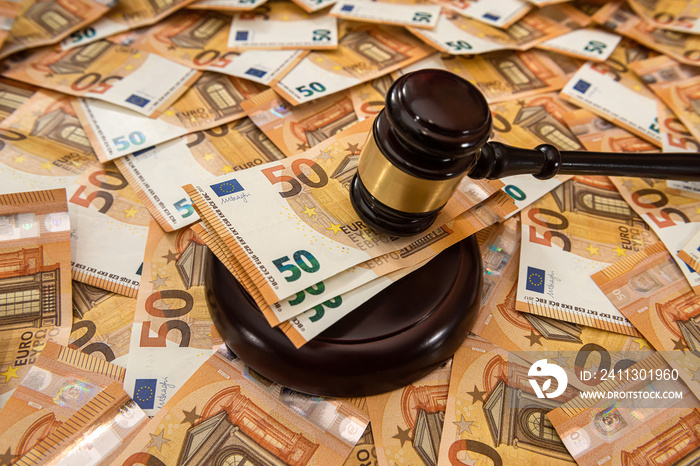 judge hammer gavel on 50 Euro banknotes