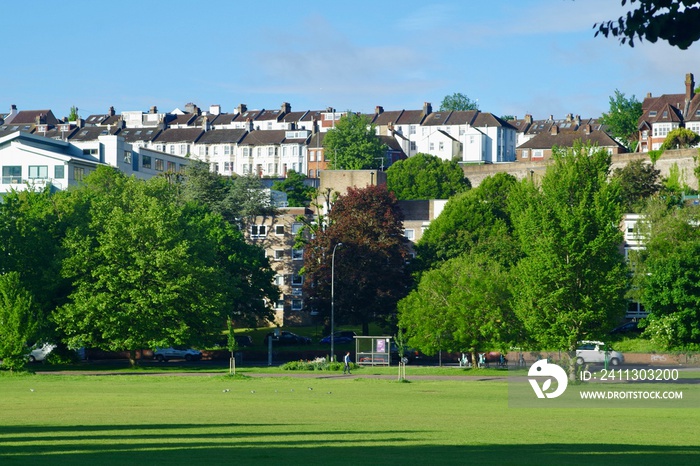 view of the park of the city