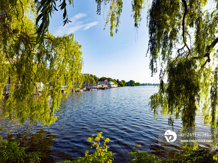 Hamburg Außenalster Blick durch Bäume aufs Wasser