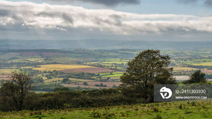 Quantock Hills landscape near West Bagborough, Somerset, England, UK