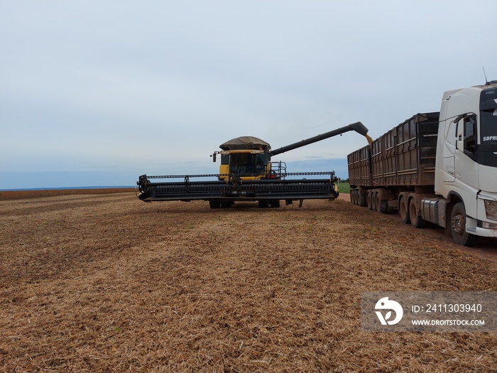 harvest, new holland, work, soybean, truck