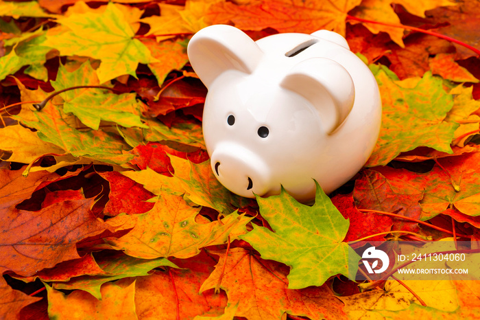 White piggy bank in autumn leaves on the ground