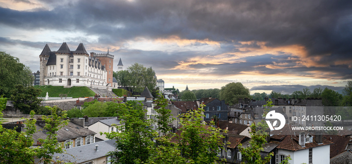 View of the castle of Pau in France