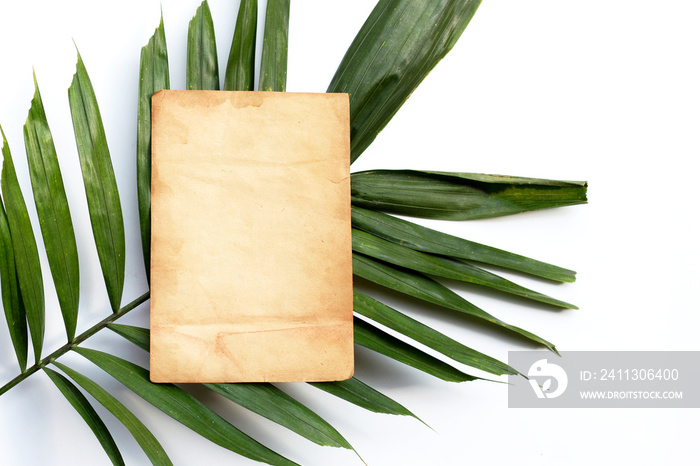 Blank old brown paper on tropical palm leaves