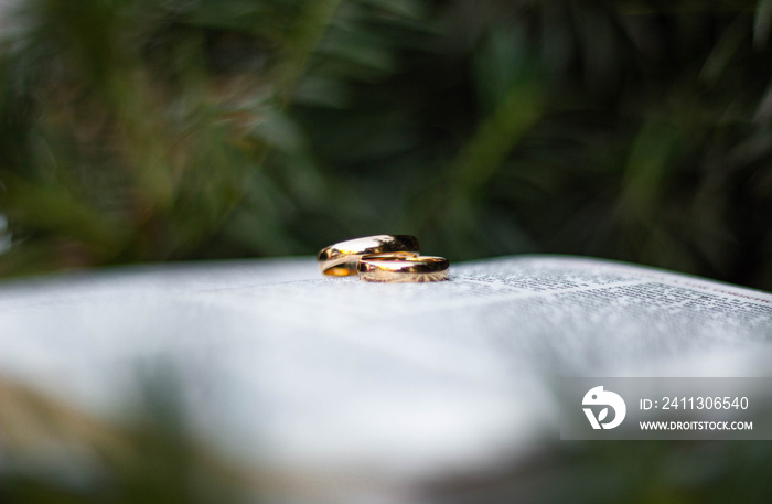 husbands rings on the bible before the wedding