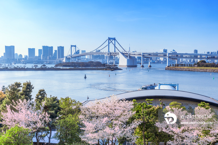 さくら咲くお台場　東京