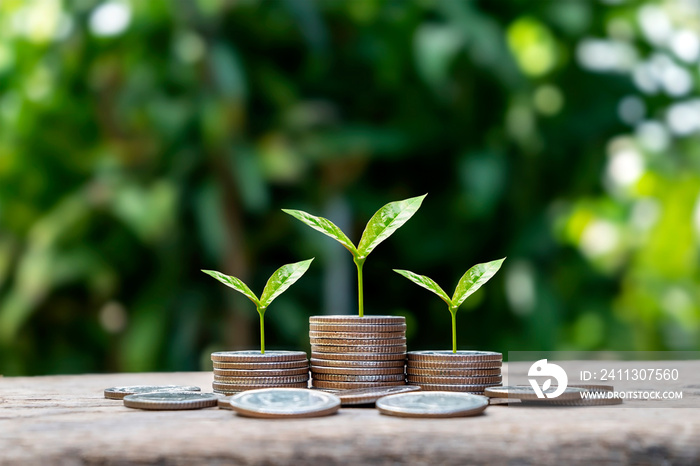 Money growth concept with coins and trees on the pile of coins with blurred green background.