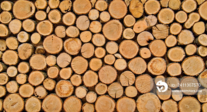 Background of tree stumps, natural wood background