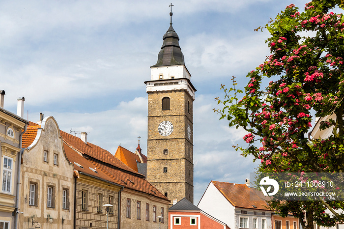 Olad town Slavonice in Czech Republic